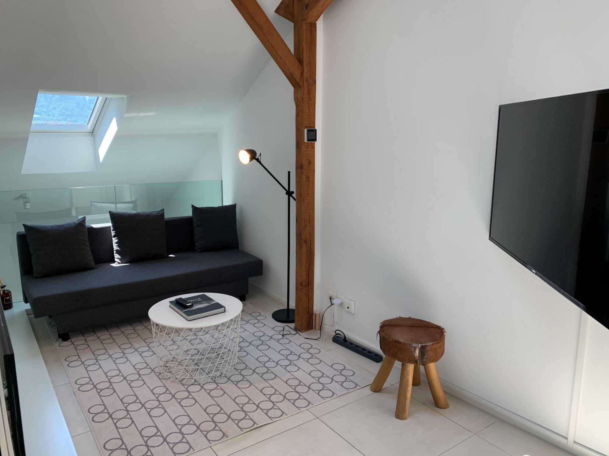 Apartmán Zuerich Niederdorf - Grossmuenster Pokoj fotografie